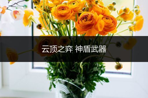 云顶之弈 神盾武器