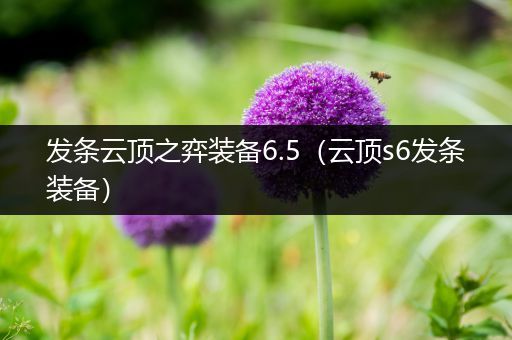 发条云顶之弈装备6.5（云顶s6发条装备）