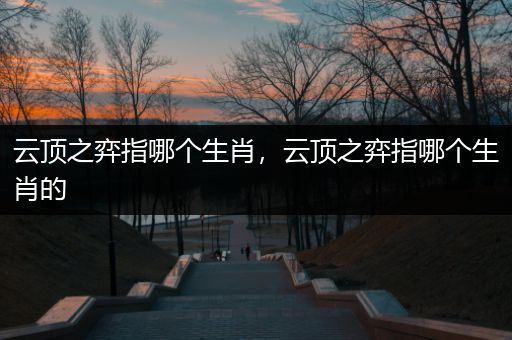 云顶之弈指哪个生肖，云顶之弈指哪个生肖的