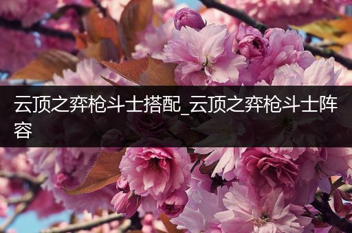云顶之弈枪斗士搭配_云顶之弈枪斗士阵容