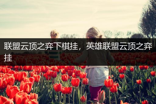联盟云顶之弈下棋挂，英雄联盟云顶之弈挂