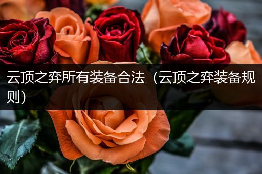 云顶之弈所有装备合法（云顶之弈装备规则）