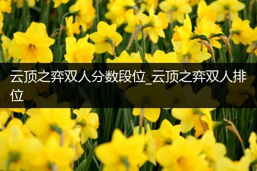云顶之弈双人分数段位_云顶之弈双人排位