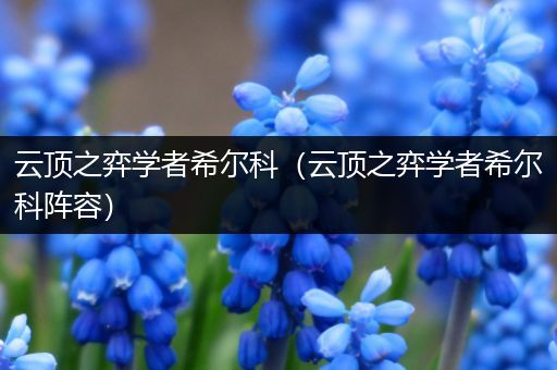 云顶之弈学者希尔科（云顶之弈学者希尔科阵容）