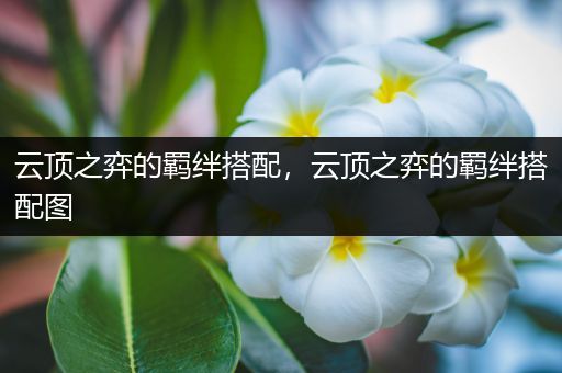 云顶之弈的羁绊搭配，云顶之弈的羁绊搭配图