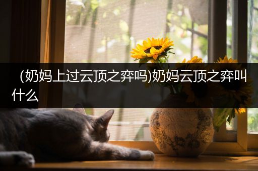 （奶妈上过云顶之弈吗)奶妈云顶之弈叫什么