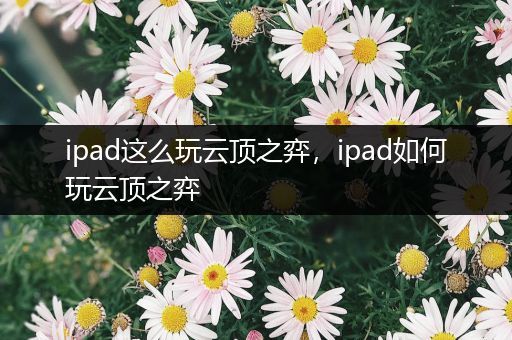 ipad这么玩云顶之弈，ipad如何玩云顶之弈