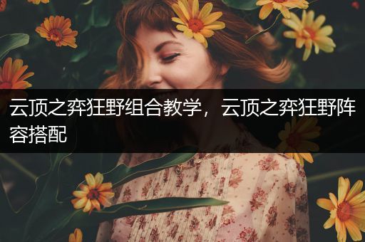 云顶之弈狂野组合教学，云顶之弈狂野阵容搭配
