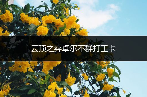 云顶之弈卓尔不群打工卡