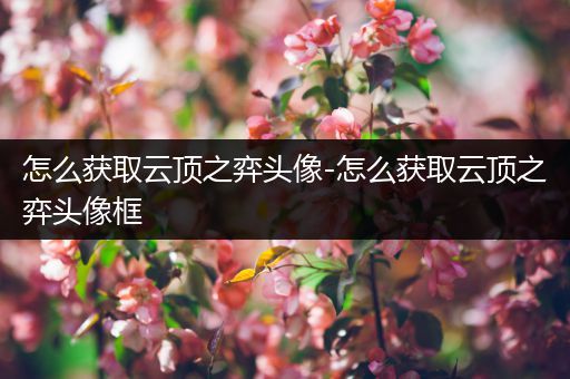 怎么获取云顶之弈头像-怎么获取云顶之弈头像框