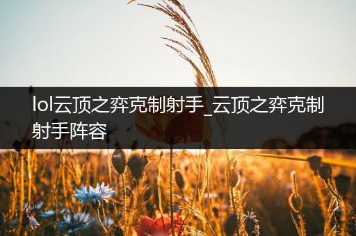 lol云顶之弈克制射手_云顶之弈克制射手阵容
