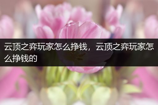 云顶之弈玩家怎么挣钱，云顶之弈玩家怎么挣钱的