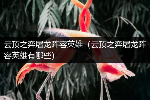 云顶之弈屠龙阵容英雄（云顶之弈屠龙阵容英雄有哪些）