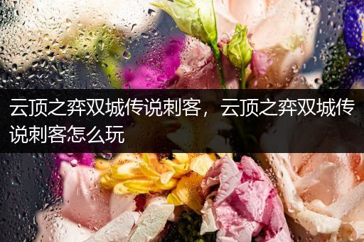 云顶之弈双城传说刺客，云顶之弈双城传说刺客怎么玩