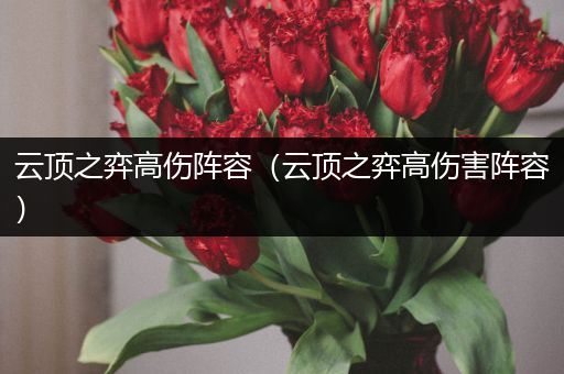 云顶之弈高伤阵容（云顶之弈高伤害阵容）