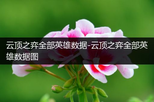 云顶之弈全部英雄数据-云顶之弈全部英雄数据图