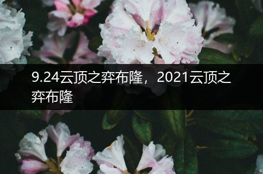 9.24云顶之弈布隆，2021云顶之弈布隆