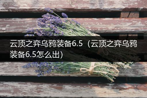 云顶之弈乌鸦装备6.5（云顶之弈乌鸦装备6.5怎么出）