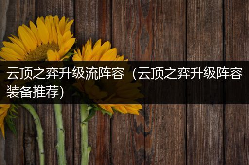 云顶之弈升级流阵容（云顶之弈升级阵容装备推荐）