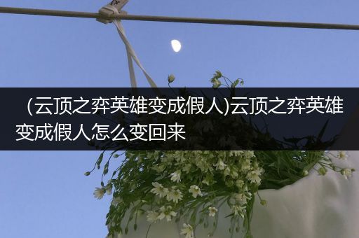 （云顶之弈英雄变成假人)云顶之弈英雄变成假人怎么变回来