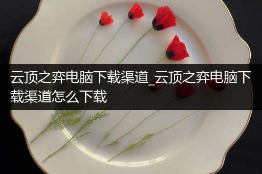 云顶之弈电脑下载渠道_云顶之弈电脑下载渠道怎么下载