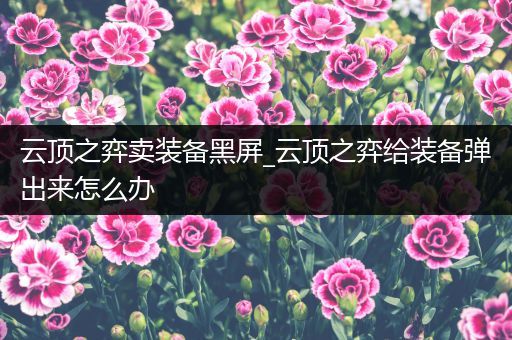云顶之弈卖装备黑屏_云顶之弈给装备弹出来怎么办