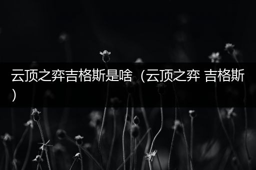 云顶之弈吉格斯是啥（云顶之弈 吉格斯）