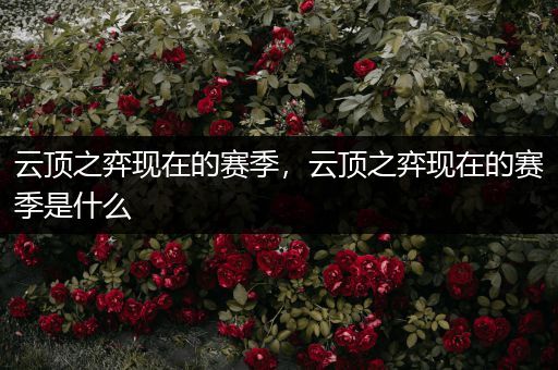 云顶之弈现在的赛季，云顶之弈现在的赛季是什么