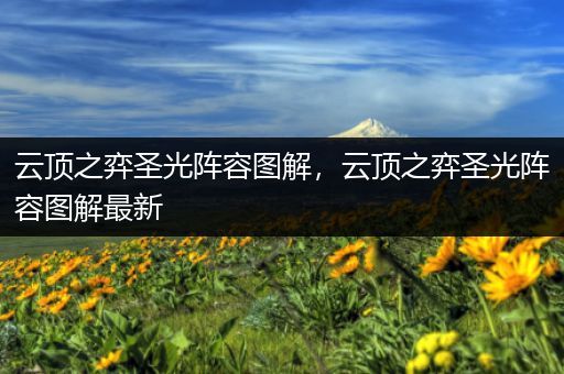 云顶之弈圣光阵容图解，云顶之弈圣光阵容图解最新