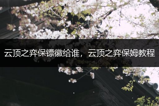 云顶之弈保镖徽给谁，云顶之弈保姆教程