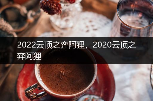 2022云顶之弈阿狸，2020云顶之弈阿狸