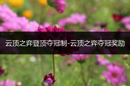 云顶之弈登顶夺冠制-云顶之弈夺冠奖励
