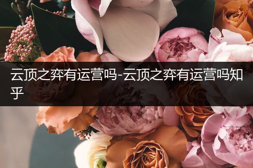 云顶之弈有运营吗-云顶之弈有运营吗知乎