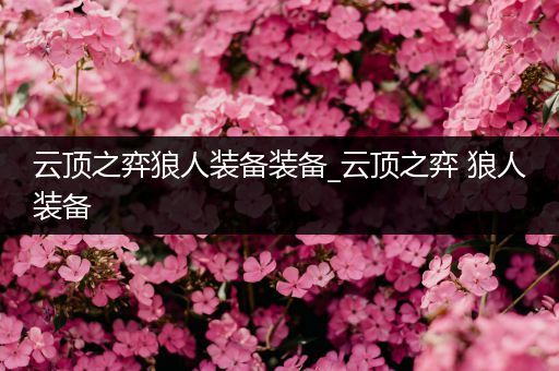 云顶之弈狼人装备装备_云顶之弈 狼人装备