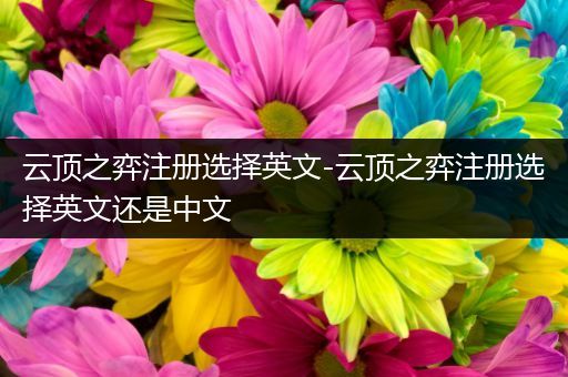 云顶之弈注册选择英文-云顶之弈注册选择英文还是中文