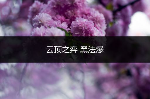 云顶之弈 黑法爆
