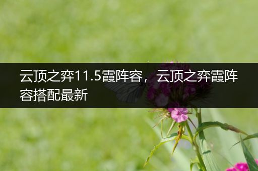 云顶之弈11.5霞阵容，云顶之弈霞阵容搭配最新