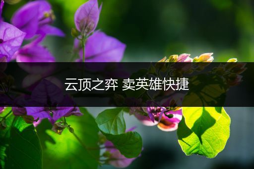 云顶之弈 卖英雄快捷