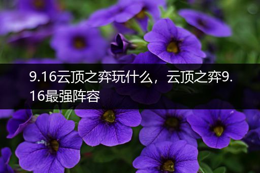 9.16云顶之弈玩什么，云顶之弈9.16最强阵容