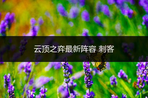 云顶之弈最新阵容 刺客