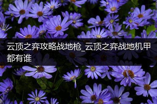 云顶之弈攻略战地枪_云顶之弈战地机甲都有谁