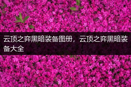 云顶之弈黑暗装备图册，云顶之弈黑暗装备大全