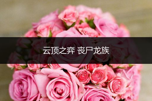 云顶之弈 丧尸龙族