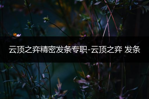 云顶之弈精密发条专职-云顶之弈 发条