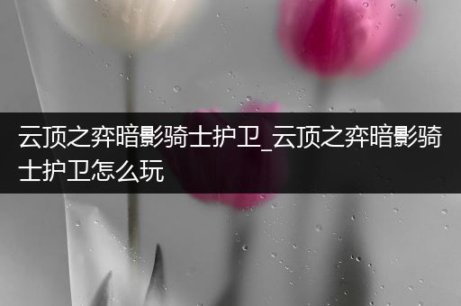 云顶之弈暗影骑士护卫_云顶之弈暗影骑士护卫怎么玩