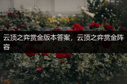 云顶之弈赏金版本答案，云顶之弈赏金阵容