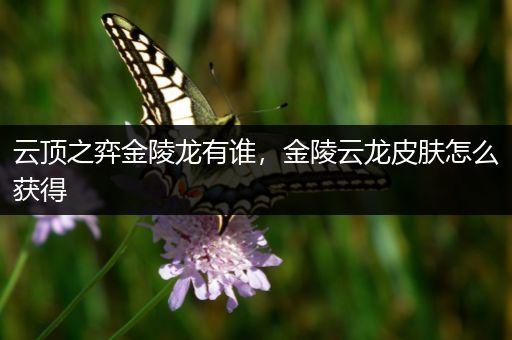云顶之弈金陵龙有谁，金陵云龙皮肤怎么获得