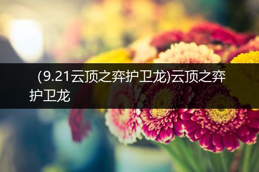 （9.21云顶之弈护卫龙)云顶之弈 护卫龙