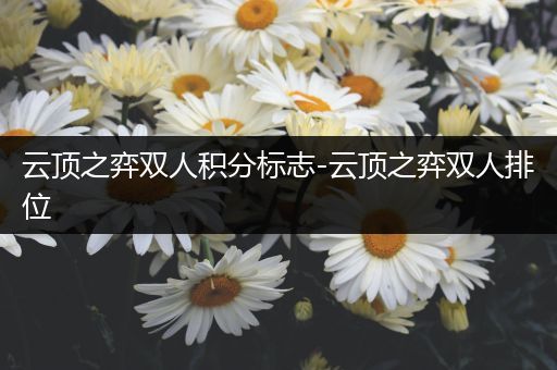 云顶之弈双人积分标志-云顶之弈双人排位