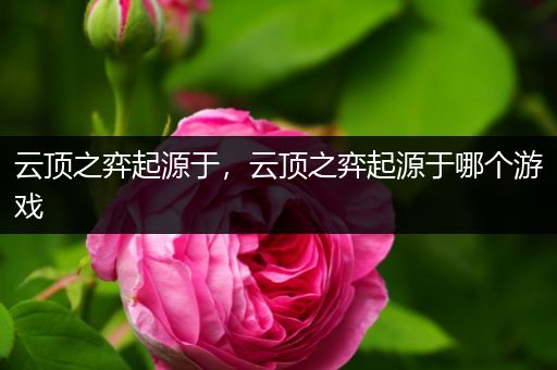 云顶之弈起源于，云顶之弈起源于哪个游戏
